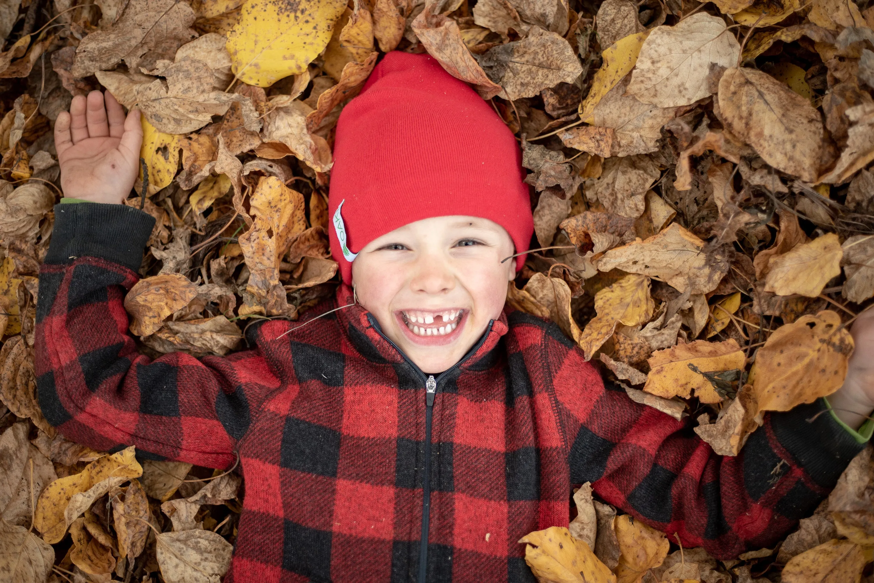 CLEARANCE: Merino Wool Toddler/Little Kid Beanie, Red